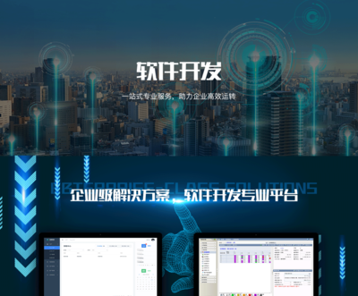 软件开发协同办公产品定制开发SaaS管理系统开发业务系统开发