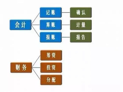 从读懂三张表 到一眼看穿商业逻辑
