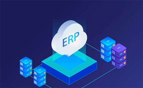 ERP系统开发：从源码到定制方案的全方位解析
