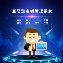 河南地区亚马逊ERP系统贴牌代理与定制开发服务性价比分析